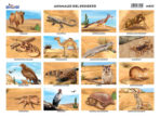 Animales del desierto (16 fig.)
